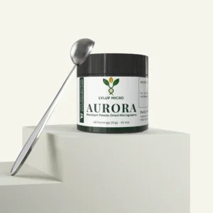 AURORA