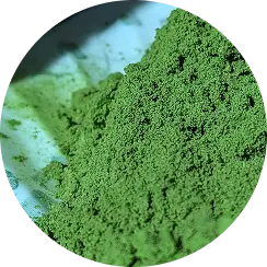 Freeze-Drying for Freshness