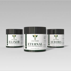 Wellness Bundle